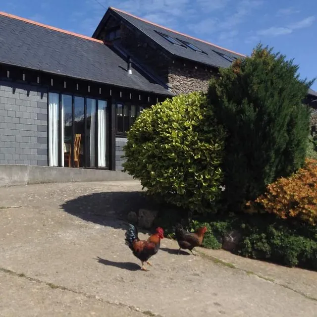 Traine Farm Holiday Cottages