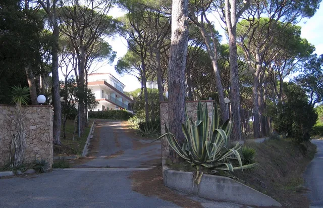 Apartaments Mas Vermey