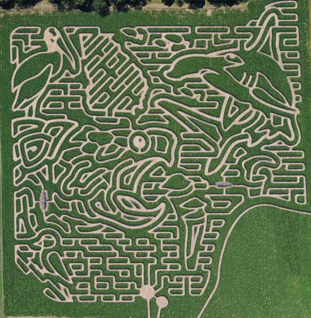 Uncle Shuck's Corn Maze and Pumpkin Patch