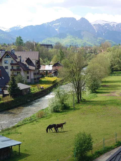 Apartament Bajkowy & Dwupoziomowy Krzesany