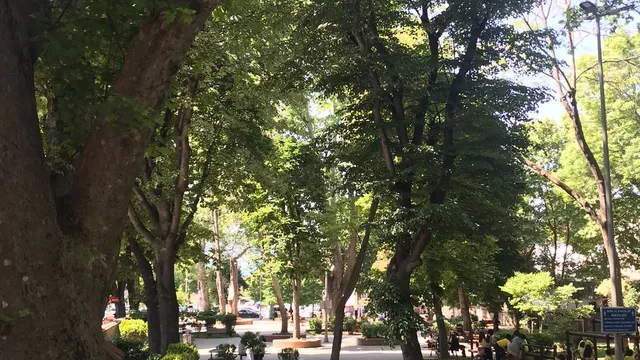 Gazi Amiral Yavuz Yüksekdağ Çengelköy Havuzbaşı Parkı