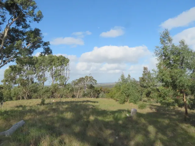 Currency Creek Arboretum