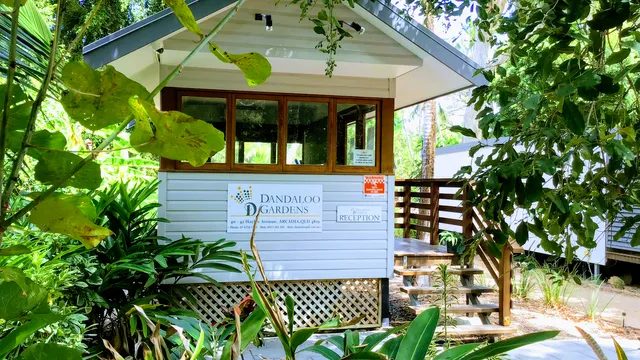 Dandaloo International Qld Pty Ltd