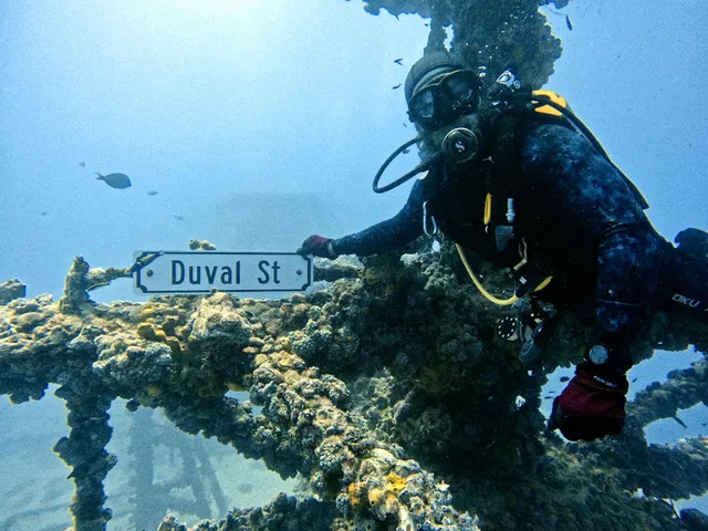 Lost Reef Adventures