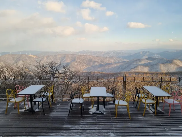 Dragon castle restaurant