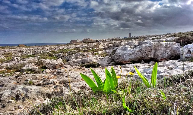 Pembroke Natura 2000