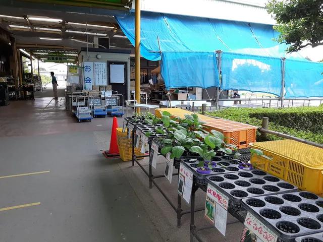 JA Farmer's Market Hamakita
