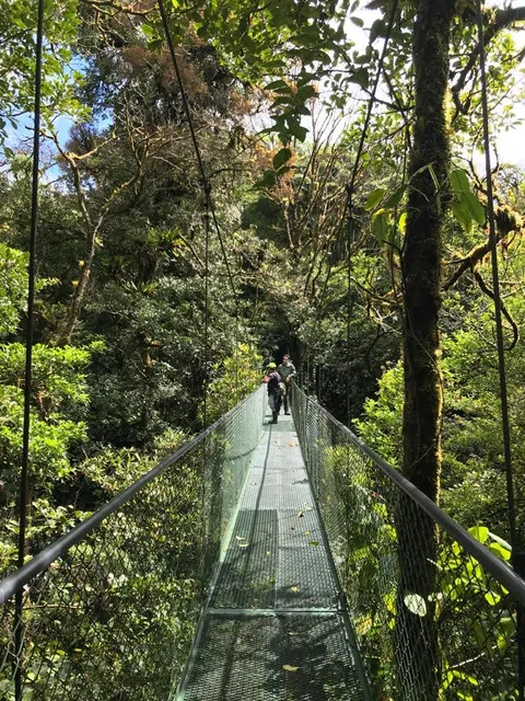 100% Aventura Hanging Bridges