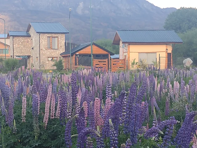 CABAÑAS LUCES DEL PIRQUE