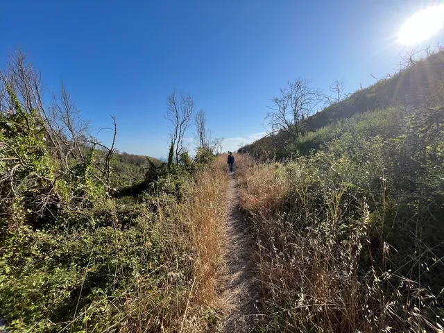 Coast Trail Trailhead