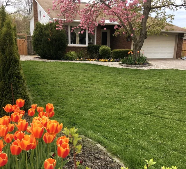 THE TEA COSY Bed & Breakfast (License No: 040-2020)