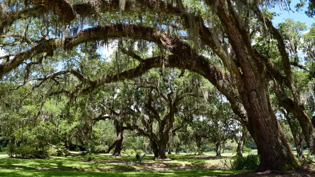 Iberia Travel (Iberia Parish Convention and Visitors Bureau)