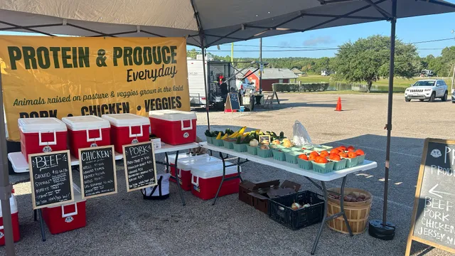 Vincent Farms (River V Growers LLC)