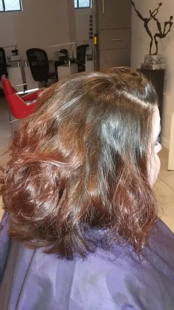 Mogi'z Hair Salon & Art Gallery