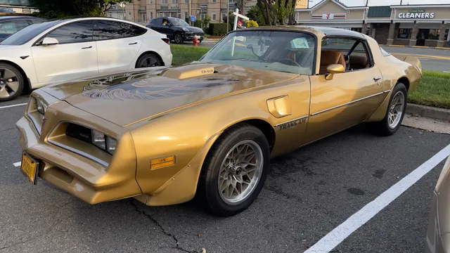 Great Falls Cleaners & Lucy's Tailor