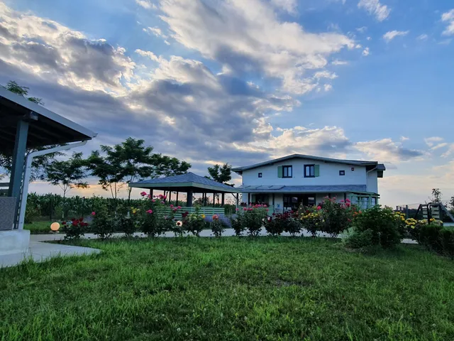 Pensiunea Floarea Soarelui