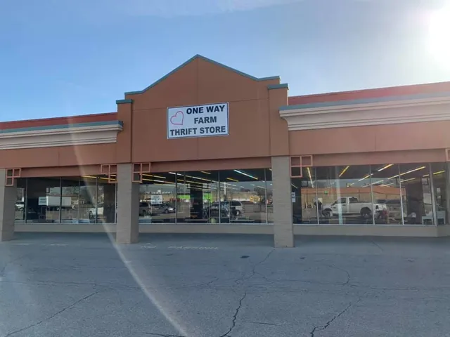 One Way Farm: Thrift Store