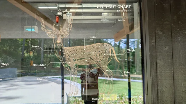 DEAR DEER 富士山ジビエセンター