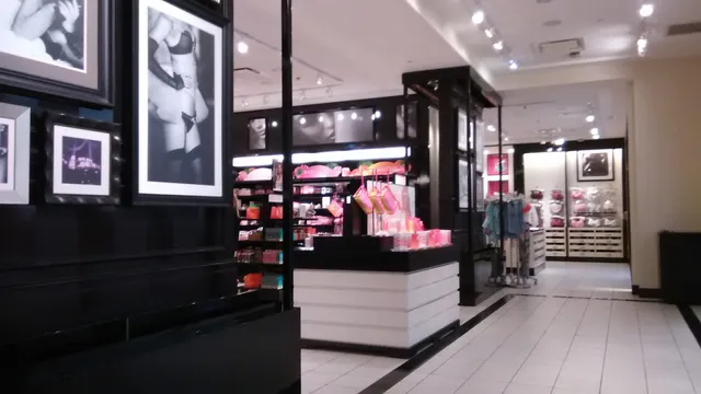 Victoria's Secret & PINK