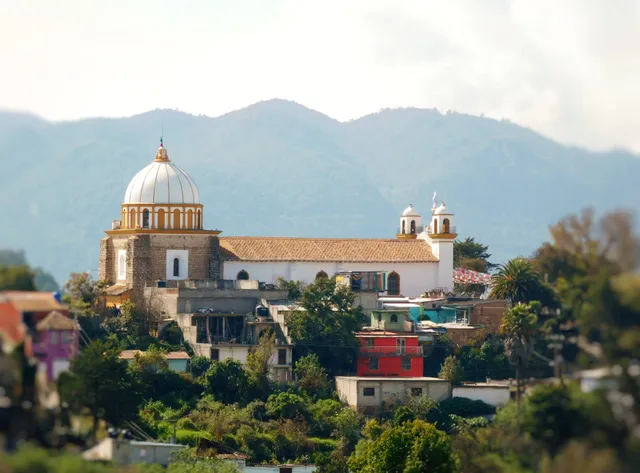 La Casa de las Aves ︎