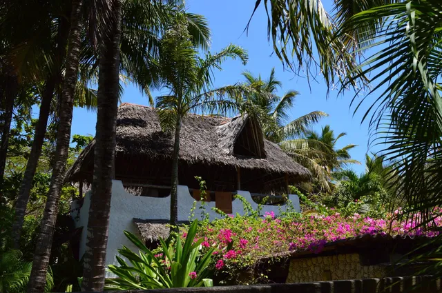 Kongo river (shambani) bungalows