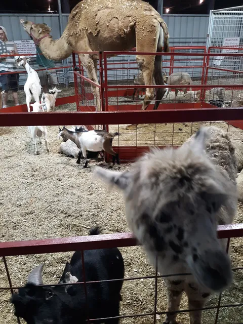 New River Valley Fairgrounds