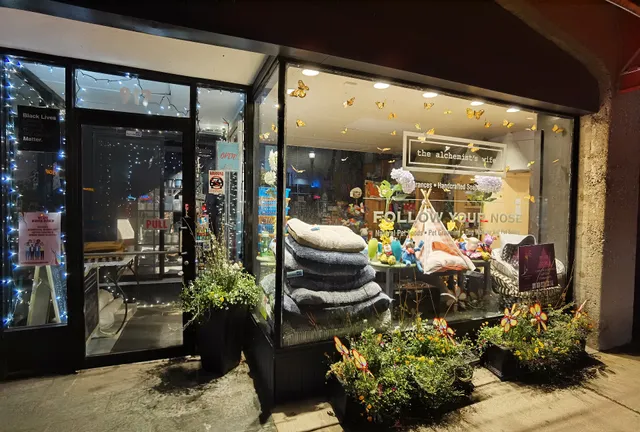 The Alchemist's Wife