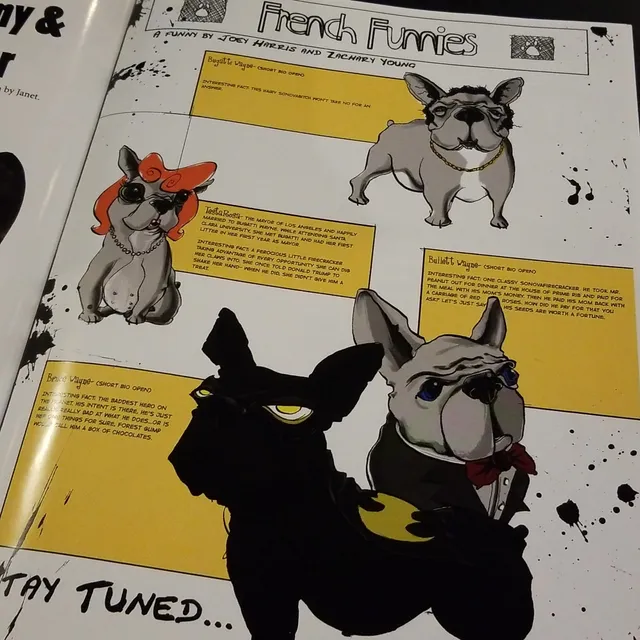 Fairfield Suisun City Visual Arts Association