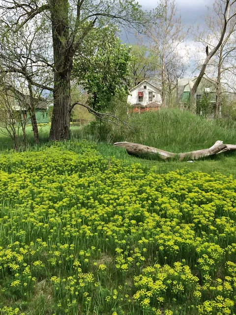 Oakland Avenue Urban Farm