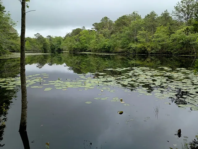Cape May County Park North Cameron Wildlife Sanctuary