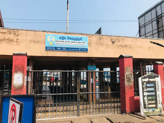 Negombo Fish Market