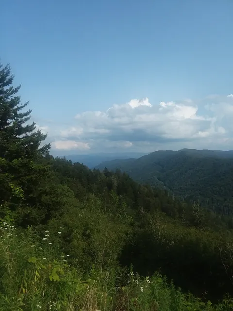 Appalachian Trail to Indian Gap