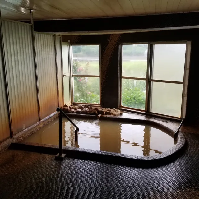Takekura Onsen Minakuchi-sou