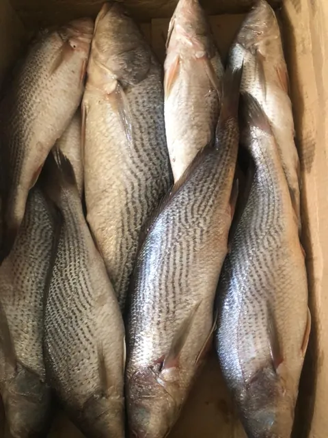 Resturant Akon et Chez lamine thiam (La Braisé)