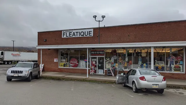 Blairsville Fleatique