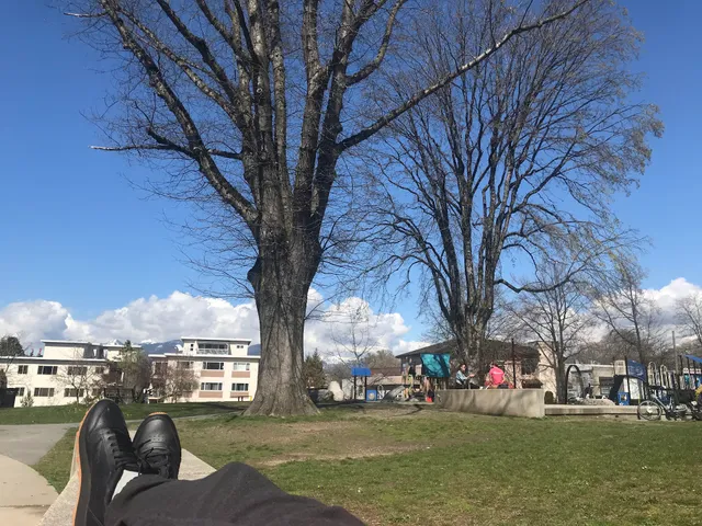 Grandview Park Sport Court