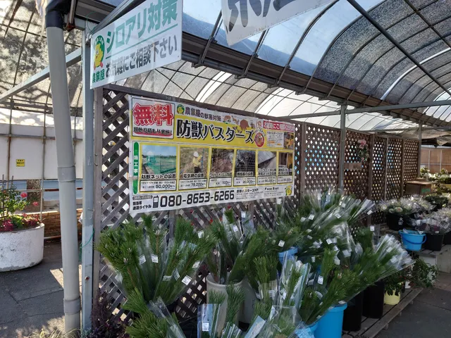 Nokanosanchokuichibaminorimatsusaka Inter Ten