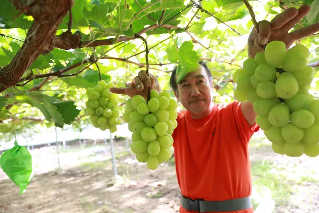 葡萄の在る風景 Budou Farm Hagiya