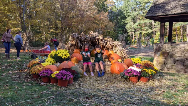 Strawberry Hollow Farm