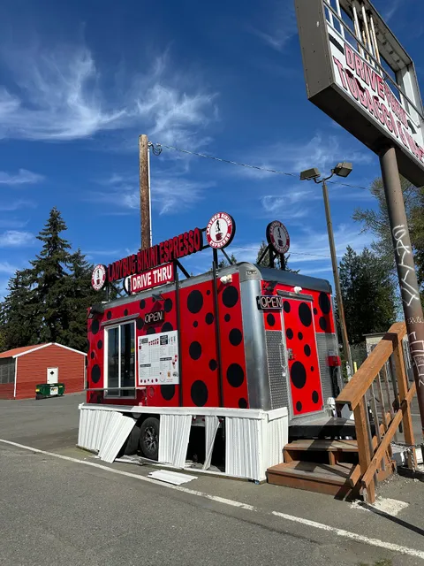 Ladybug Bikini Espresso