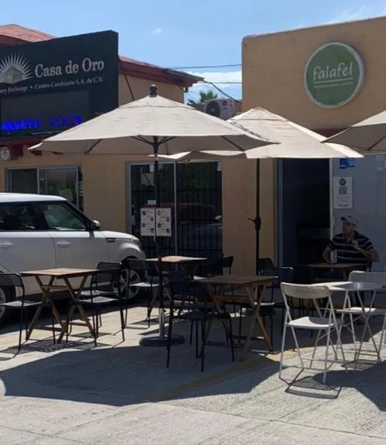 Falafel Mediterranean Cusine