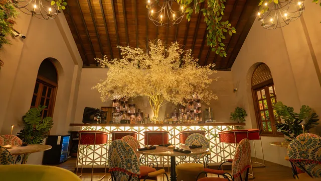 Sober Social Colombo