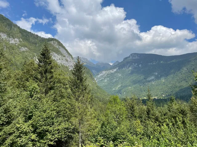 V OBJEMU GORA, oddaja apartmajev in aktivnosti za sproščanje, Vesna Cesar s.p.