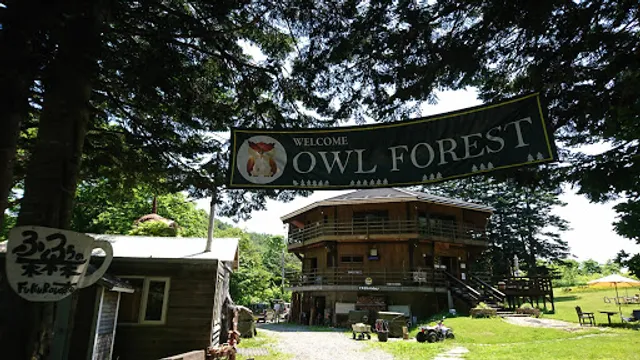 Forest Owl