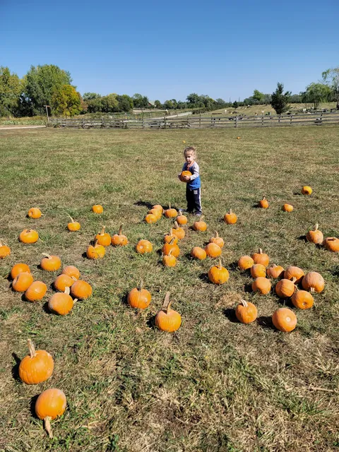 Bellevue Berry & Pumpkin Ranch