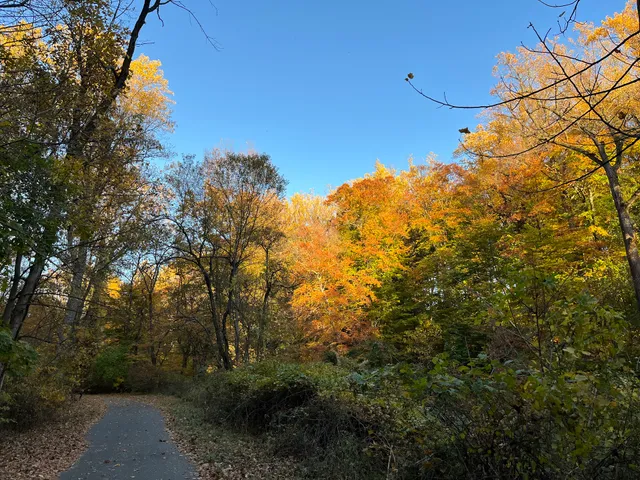 Pennypack Trail Parking