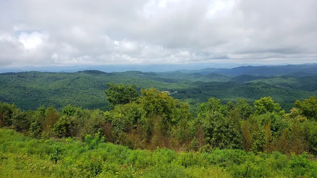 Sassafras Mountain