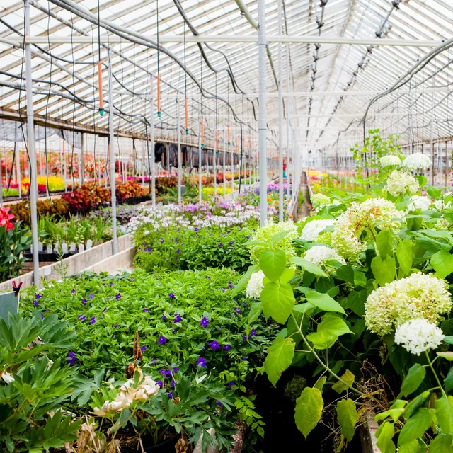 Urhausen Greenhouses