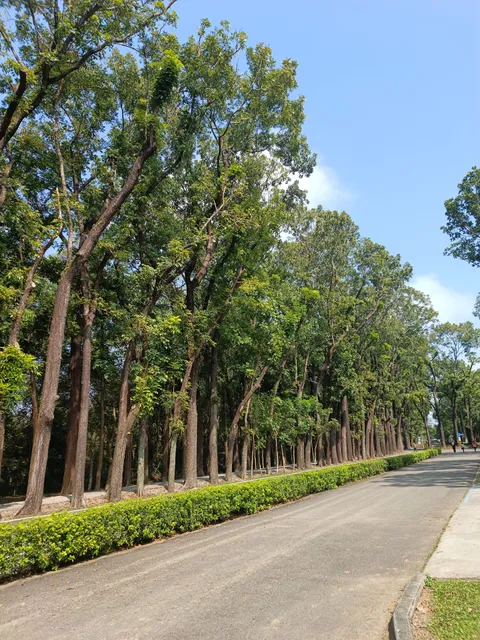 Xinwei Forest Park
