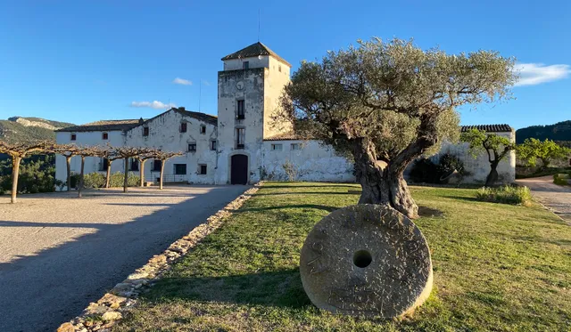 Mas d'Alerany - Casa Rural